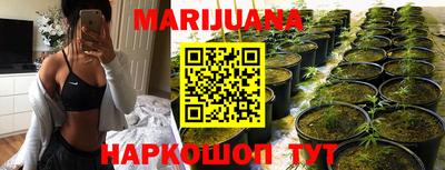 не бодяженный Сланцы