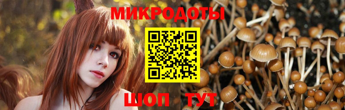 Псилоцибиновые грибы мухоморы Нефтекумск